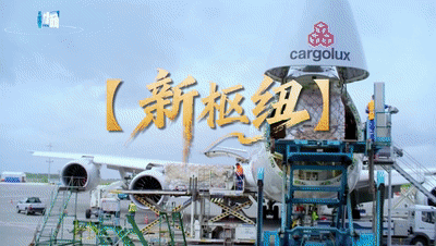 
山东大学齐鲁医院黄牛代挂号电话票贩子号贩子网上预约挂号,住院检查加快,智创新未来，河南就是这么中！