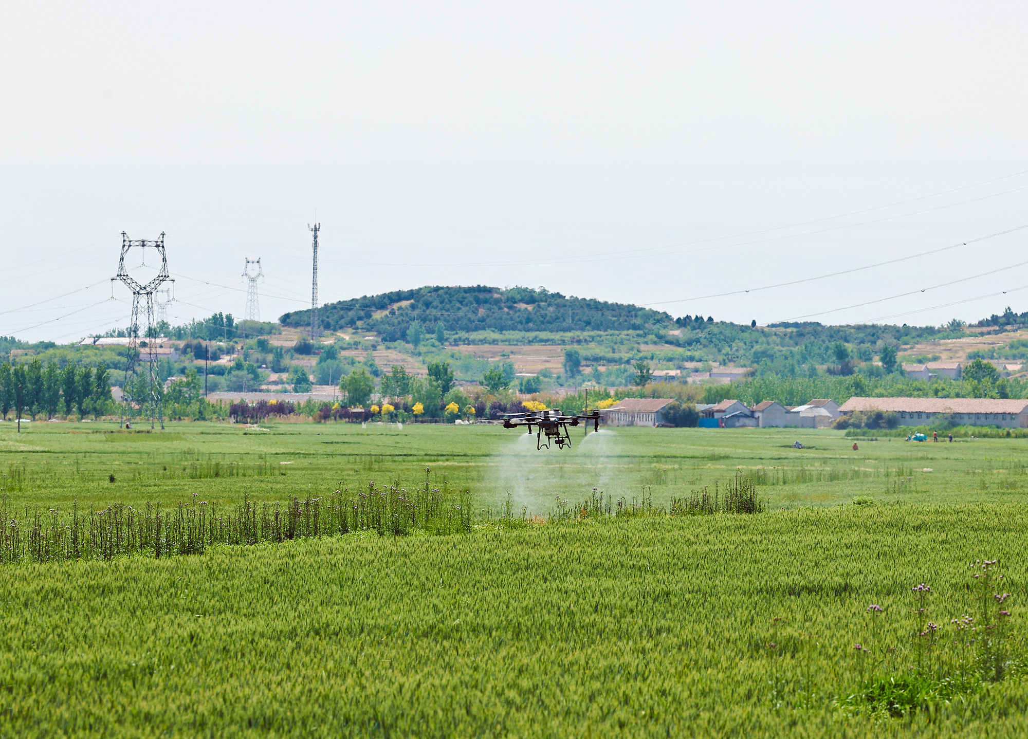 
首都医科大学附属儿童医院黄牛代挂号电话票贩子号贩子网上预约挂号,住院检查加快,晶采观察丨新一年4个关键词，关乎每个奋斗的你我