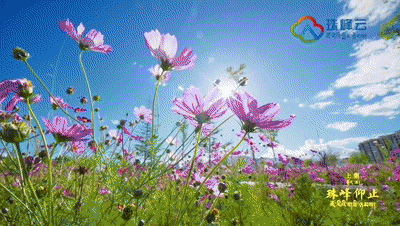 北医六院黄牛代挂号电话票贩子号贩子网上预约挂号,住院检查加快,短短60年,西藏为何能跨越上千年?