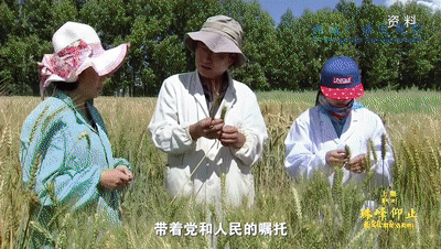 北医六院黄牛代挂号电话票贩子号贩子网上预约挂号,住院检查加快,短短60年,西藏为何能跨越上千年?