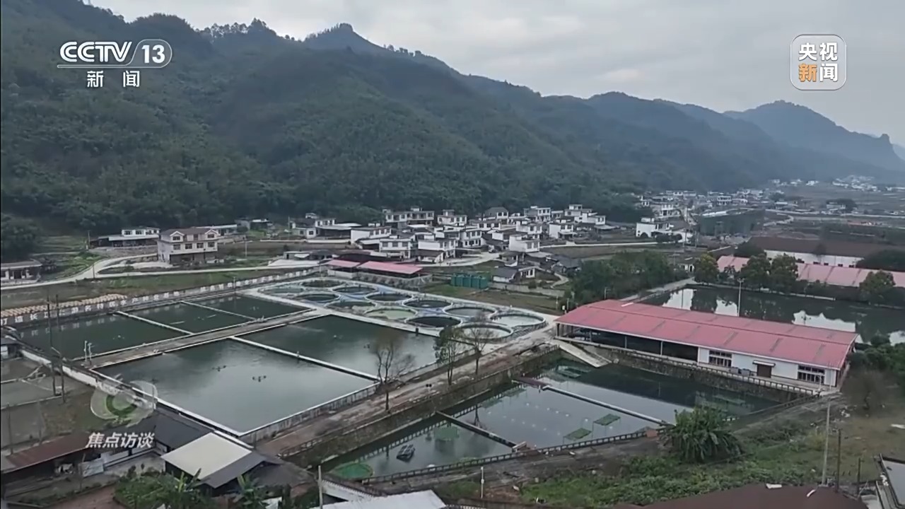 
杭州西溪医院黄牛代挂号电话票贩子号贩子网上预约挂号,住院检查加快,焦点访谈丨新时代长江之歌 十年守护见证绿色蝶变