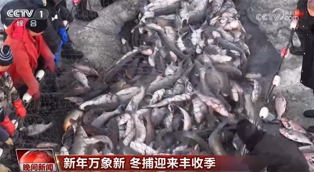 浙江第一医院黄牛代挂号电话票贩子号贩子网上预约挂号,住院检查加快,各领域“新成果+新举措”为新一年经济民生发展开好头 万象更新干劲儿足