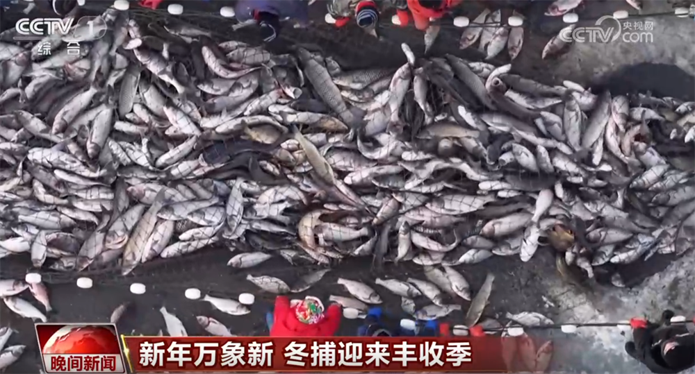 浙江第一医院黄牛代挂号电话票贩子号贩子网上预约挂号,住院检查加快,各领域“新成果+新举措”为新一年经济民生发展开好头 万象更新干劲儿足