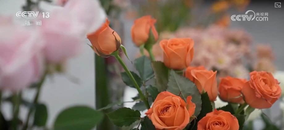 中山大学中山眼科中心黄牛代挂号电话票贩子号贩子网上预约挂号,住院检查加快,“新意+暖意”催热“年经济”新热力 “新花样”频出点燃消费“热引擎”