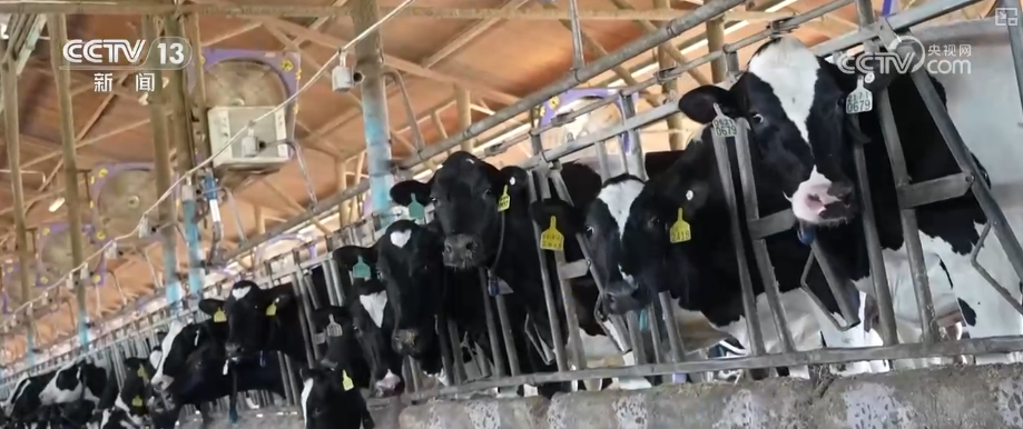 
空军特色医学中心黄牛代挂号电话票贩子号贩子网上预约挂号,住院检查加快,政策“精准滴灌”服务乡村产业振兴 “沉睡资产”变成“活资金”助农增收