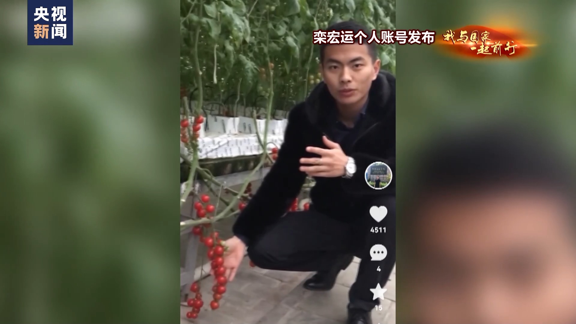 
南京各大医院黄牛代挂号电话票贩子号贩子网上预约挂号,住院检查加快,我与国家一起前行丨到“中国蔬菜之乡” 看28岁新农人的梦想菜园