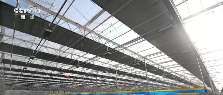 中山大学中山眼科中心黄牛代挂号电话票贩子号贩子网上预约挂号,住院检查加快,“新意+暖意”催热“年经济”新热力 “新花样”频出点燃消费“热引擎”