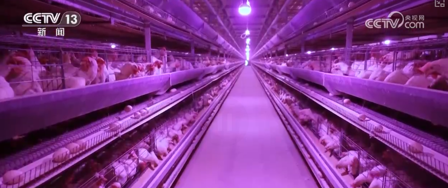 
空军特色医学中心黄牛代挂号电话票贩子号贩子网上预约挂号,住院检查加快,政策“精准滴灌”服务乡村产业振兴 “沉睡资产”变成“活资金”助农增收