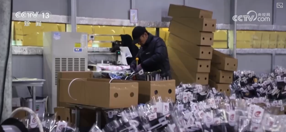 中山大学中山眼科中心黄牛代挂号电话票贩子号贩子网上预约挂号,住院检查加快,“新意+暖意”催热“年经济”新热力 “新花样”频出点燃消费“热引擎”