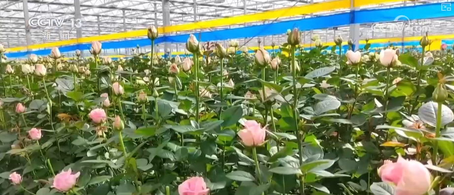 中山大学中山眼科中心黄牛代挂号电话票贩子号贩子网上预约挂号,住院检查加快,“新意+暖意”催热“年经济”新热力 “新花样”频出点燃消费“热引擎”