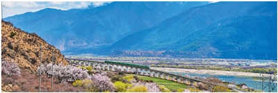 
南部战区空军医院黄牛号贩子票贩子代网上预约代挂号电话中国中铁践行“三个转变”，实现高质量发展（新时代画卷）