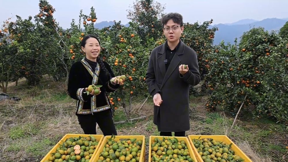 
北京八大处整形医院黄牛代挂号电话票贩子号贩子网上预约挂号,住院检查加快,新华视点｜特色产业“链”出富民新图景