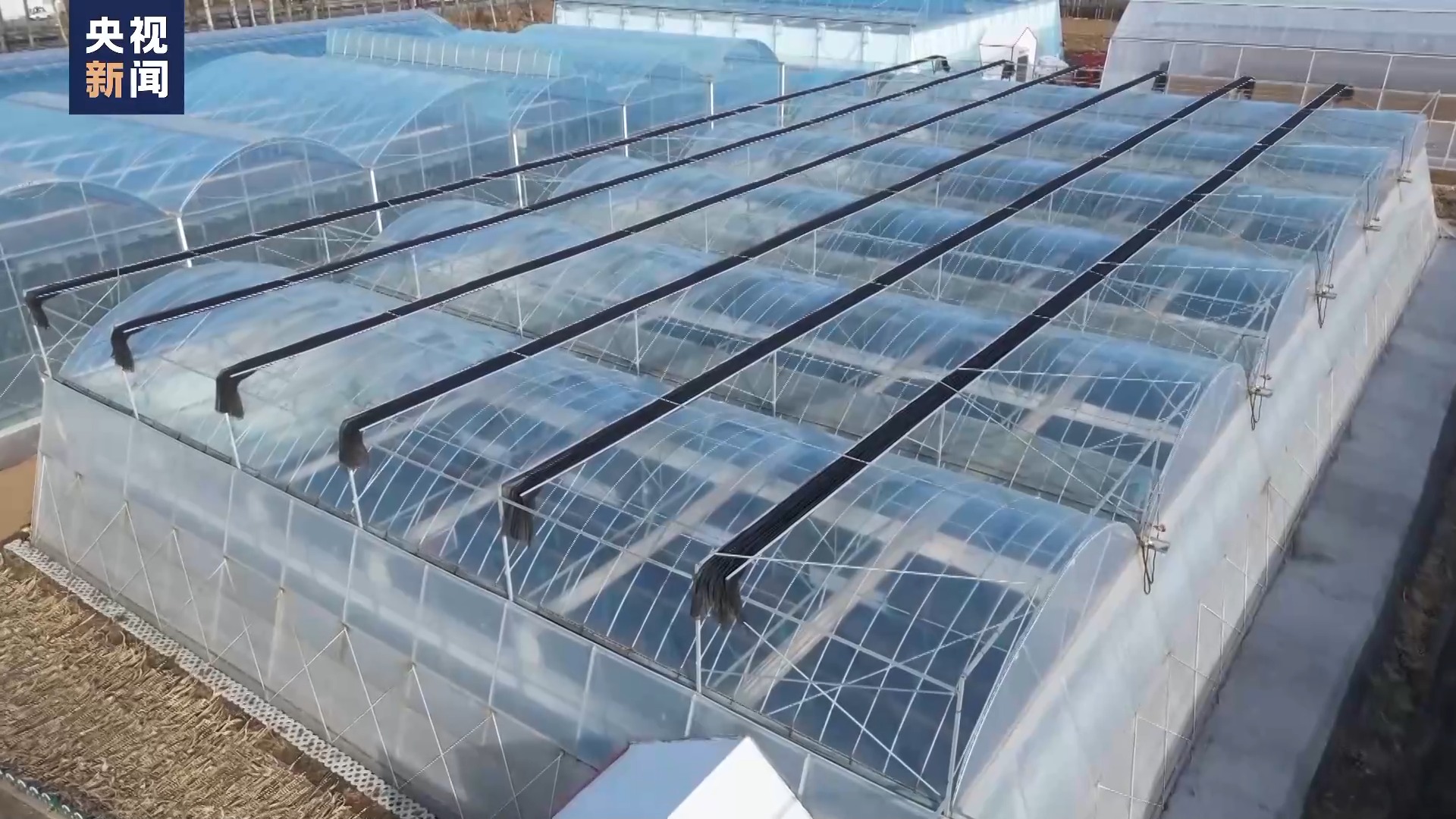 
南京各大医院黄牛代挂号电话票贩子号贩子网上预约挂号,住院检查加快,我与国家一起前行丨到“中国蔬菜之乡” 看28岁新农人的梦想菜园