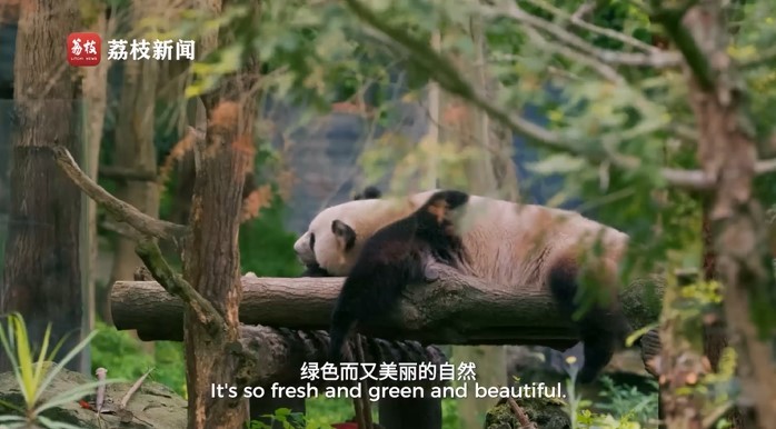 
广州中山眼科医院黄牛代挂号电话票贩子号贩子网上预约挂号,住院检查加快,滚滚长江·上篇：缘起世界屋脊 绵延万里的生命律动和自然之美