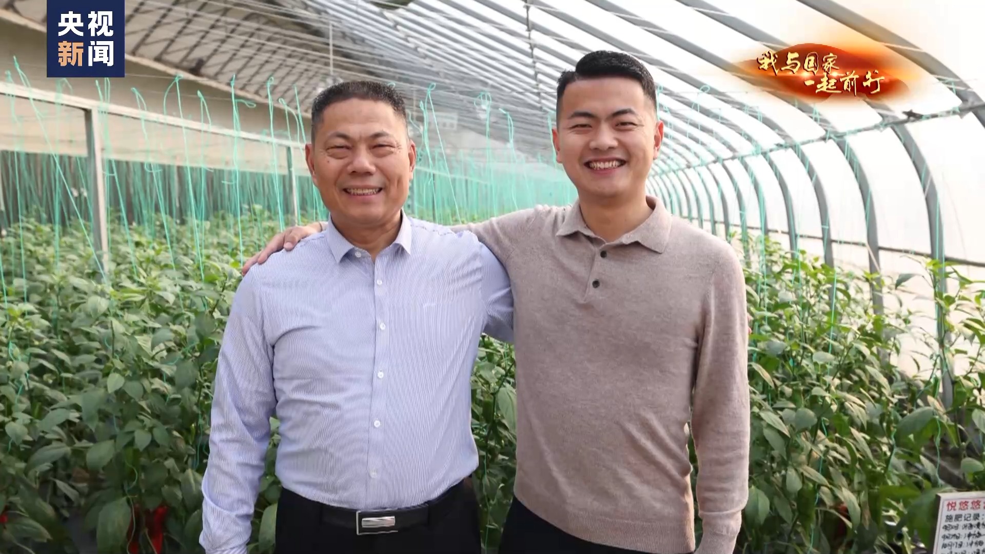 
南京各大医院黄牛代挂号电话票贩子号贩子网上预约挂号,住院检查加快,我与国家一起前行丨到“中国蔬菜之乡” 看28岁新农人的梦想菜园