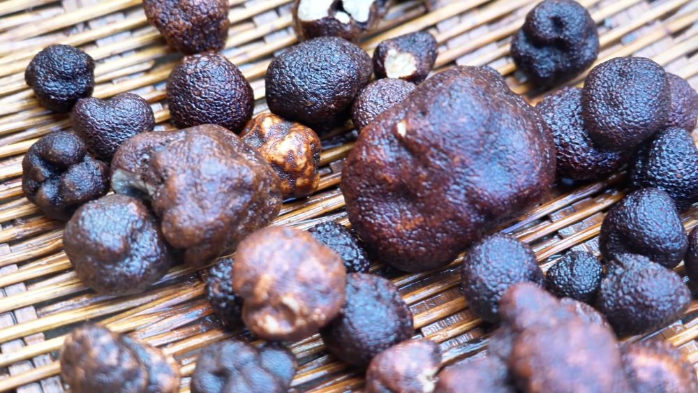 
北京八大处整形医院黄牛代挂号电话票贩子号贩子网上预约挂号,住院检查加快,新华视点｜特色产业“链”出富民新图景