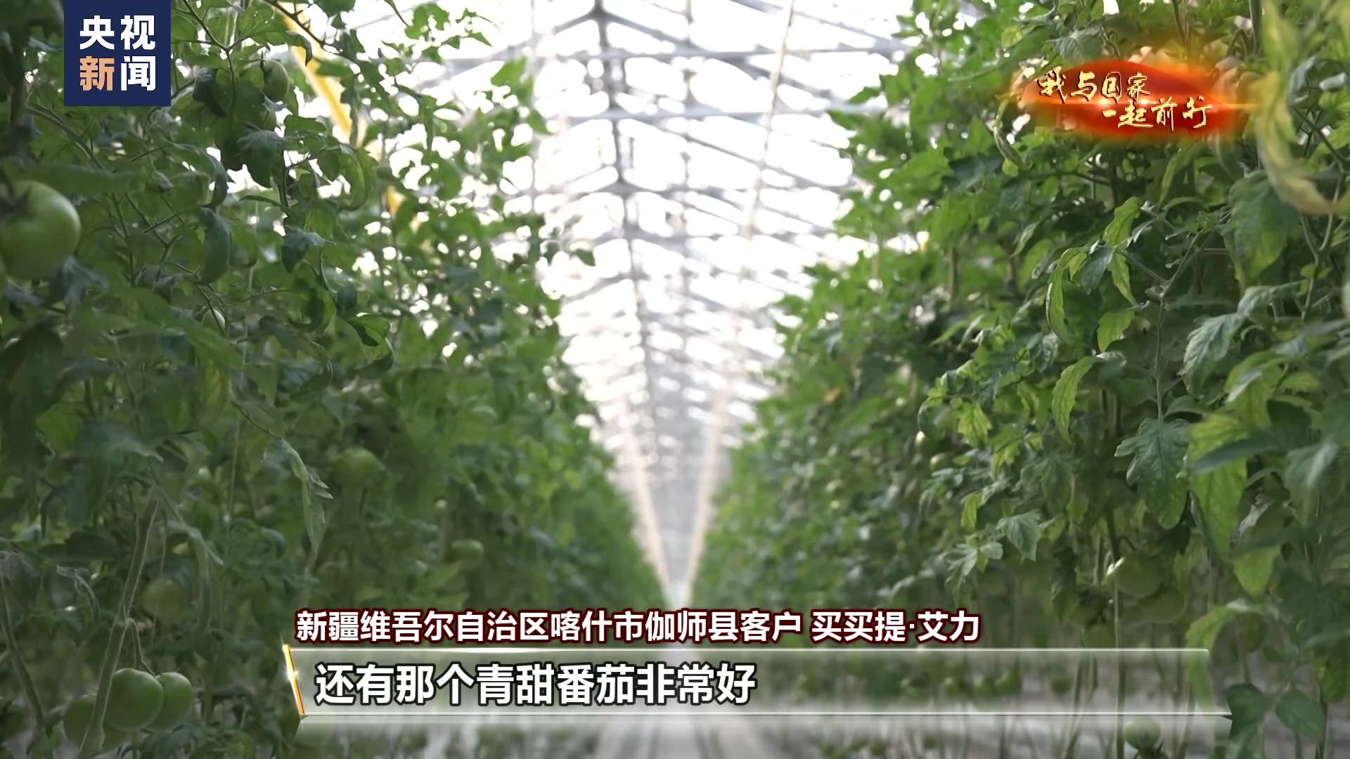 
南京各大医院黄牛代挂号电话票贩子号贩子网上预约挂号,住院检查加快,我与国家一起前行丨到“中国蔬菜之乡” 看28岁新农人的梦想菜园