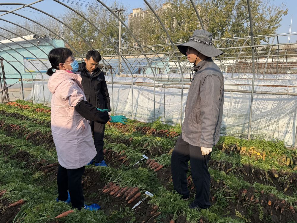 
成都华西医院黄牛代挂号电话票贩子号贩子网上预约挂号,住院检查加快,习近平总书记关切事·嘱托｜沃野兴农人的丰收密码