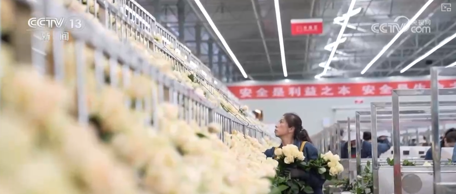 中山大学中山眼科中心黄牛代挂号电话票贩子号贩子网上预约挂号,住院检查加快,“新意+暖意”催热“年经济”新热力 “新花样”频出点燃消费“热引擎”