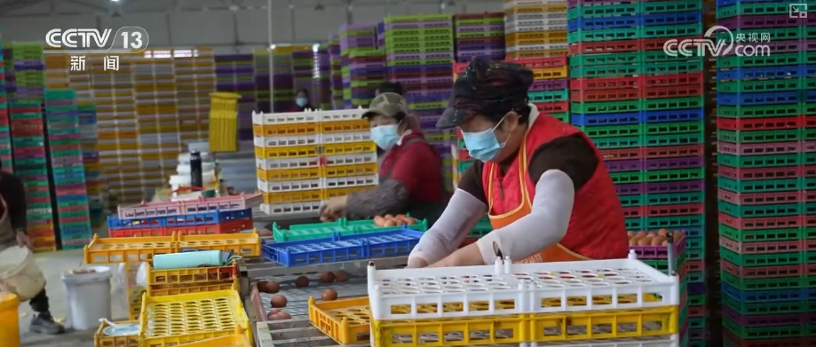 
空军特色医学中心黄牛代挂号电话票贩子号贩子网上预约挂号,住院检查加快,政策“精准滴灌”服务乡村产业振兴 “沉睡资产”变成“活资金”助农增收