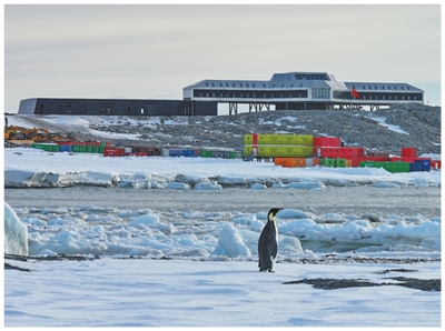 
南部战区空军医院黄牛号贩子票贩子代网上预约代挂号电话中国中铁践行“三个转变”，实现高质量发展（新时代画卷）