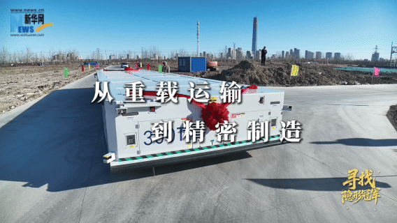 
首都医科大学附属北京胸科医院黄牛代挂号电话票贩子号贩子网上预约挂号,住院检查加快,寻找隐形冠军｜意想不到的它