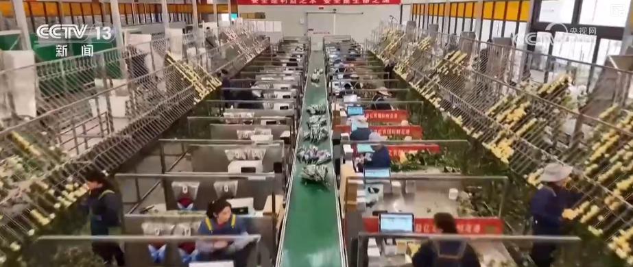 中山大学中山眼科中心黄牛代挂号电话票贩子号贩子网上预约挂号,住院检查加快,“新意+暖意”催热“年经济”新热力 “新花样”频出点燃消费“热引擎”