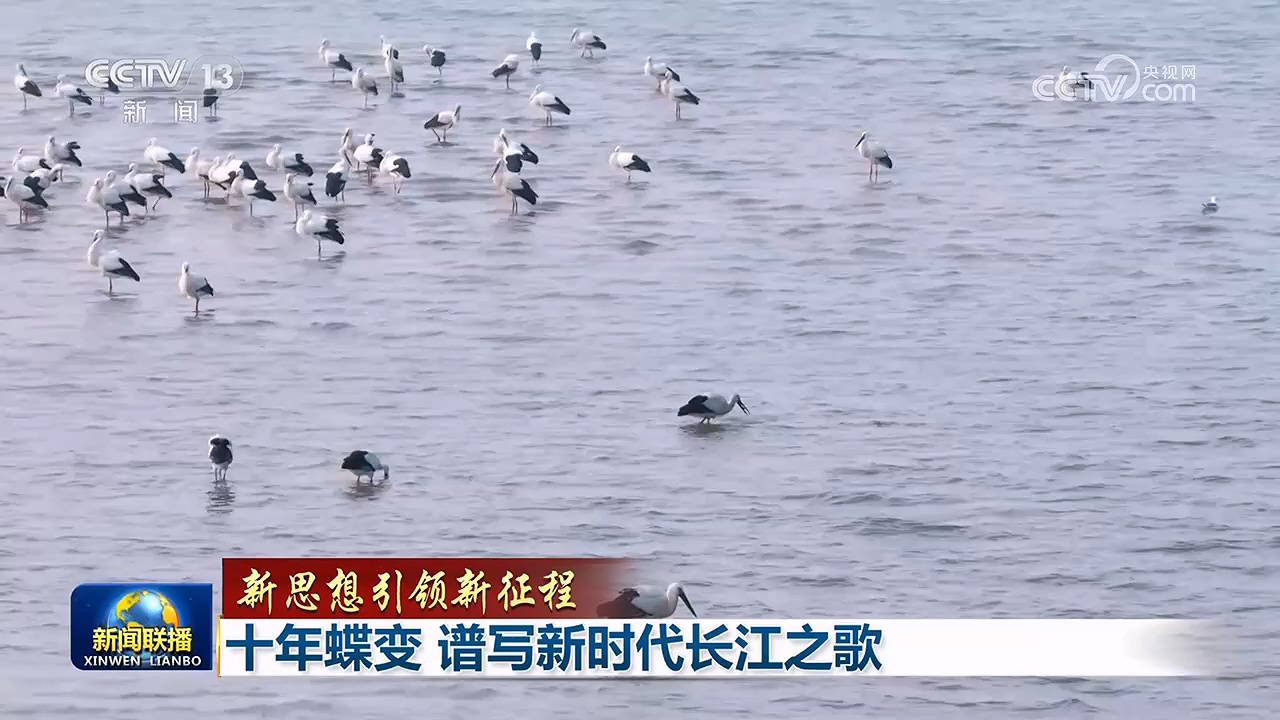 
长沙各大医院黄牛代挂号电话票贩子号贩子网上预约挂号,住院检查加快,【新思想引领新征程】十年蝶变 谱写新时代长江之歌