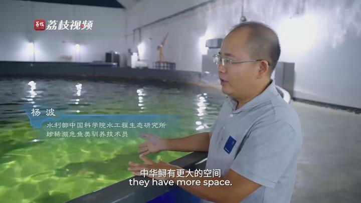 
上海儿科医院黄牛代挂号电话票贩子号贩子网上预约挂号,住院检查加快,滚滚长江·下篇：奔流万里入海 万物共生的守护初心与时代答卷