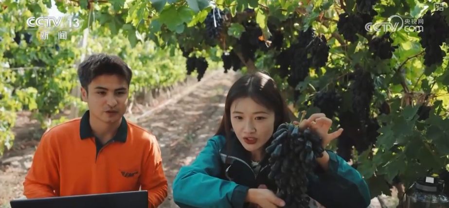 
北京大学人民医院黄牛代挂号电话票贩子号贩子网上预约挂号,住院检查加快,智慧赋能流通“大动脉” 透视物流业“含金量”十足数据解锁经济新“动”力