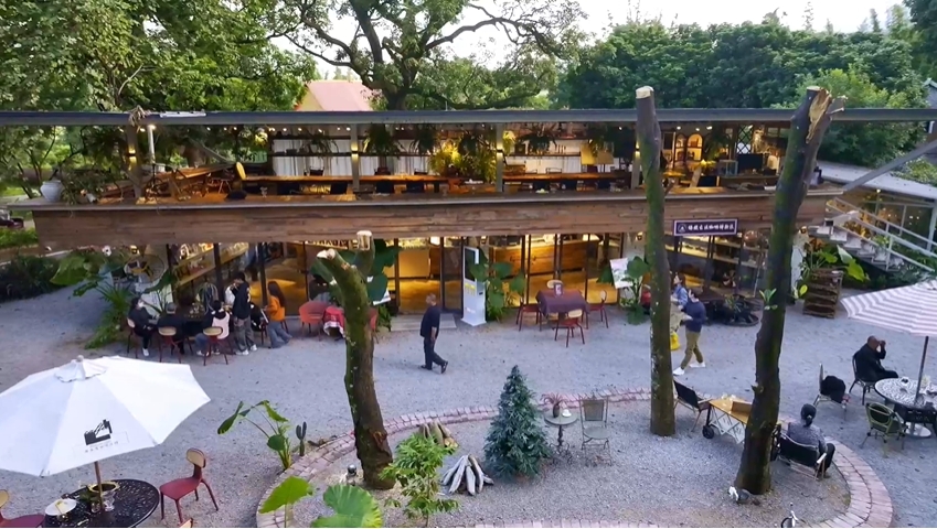 
北京各大医院黄牛代挂号电话票贩子号贩子网上预约挂号,住院检查加快,大道之行 | 共同富裕的关键是什么？中央党校教授拎重点