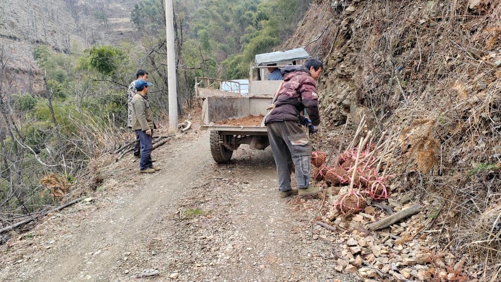 
长春吉大一院黄牛代挂号电话票贩子号贩子网上预约挂号,住院检查加快,四中全会精神在基层｜森林里的“一张票”——湖南“湘林碳票”探索见闻