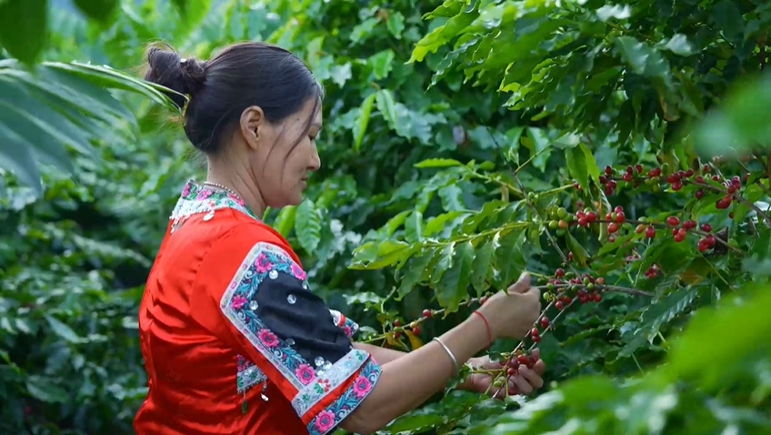 
北京各大医院黄牛代挂号电话票贩子号贩子网上预约挂号,住院检查加快,大道之行 | 共同富裕的关键是什么？中央党校教授拎重点
