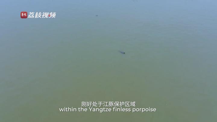 
上海儿科医院黄牛代挂号电话票贩子号贩子网上预约挂号,住院检查加快,滚滚长江·下篇：奔流万里入海 万物共生的守护初心与时代答卷