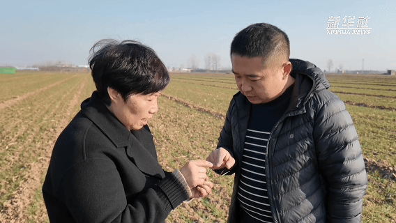 北京协和医院黄牛代挂号电话票贩子号贩子网上预约挂号,住院检查加快,稳中启新程 实干谱新篇|强动能·科技创新活力涌动