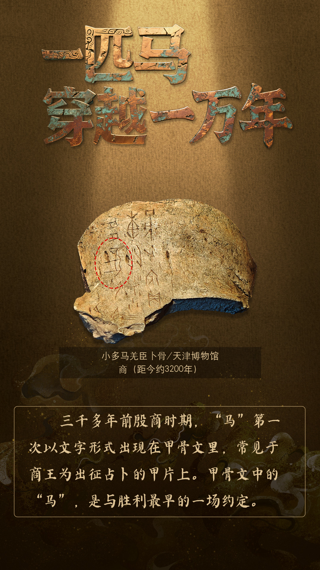 
中国中医科学院广安门医院黄牛代挂号电话票贩子号贩子网上预约挂号,住院检查加快,何以中国 | 一匹马穿越了一万年