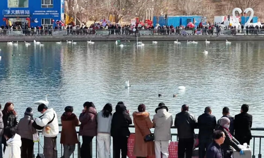 
中国人民解放军总医院黄牛代挂号电话票贩子号贩子网上预约挂号,住院检查加快,过年人潮已刷屏！新疆各地新年活动扎堆 满城都是人人人