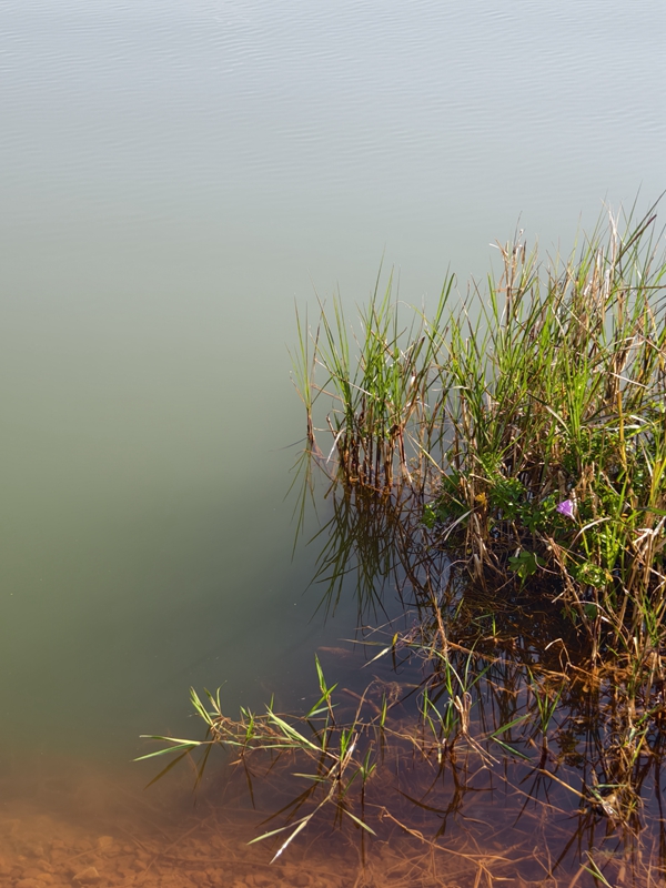 
首都医科大学附属北京妇产医院黄牛代挂号电话票贩子号贩子网上预约挂号,住院检查加快,新春走基层｜山朝水朝，不如人来朝——异龙湖畔感受高原湖泊治污成果