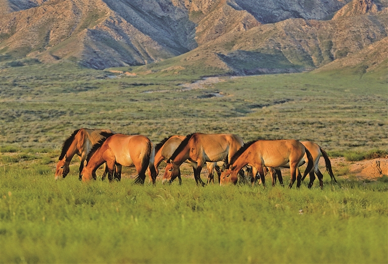 
天津儿童医院黄牛代挂号电话票贩子号贩子网上预约挂号,住院检查加快,走进春天，触摸这跃动的生命图景