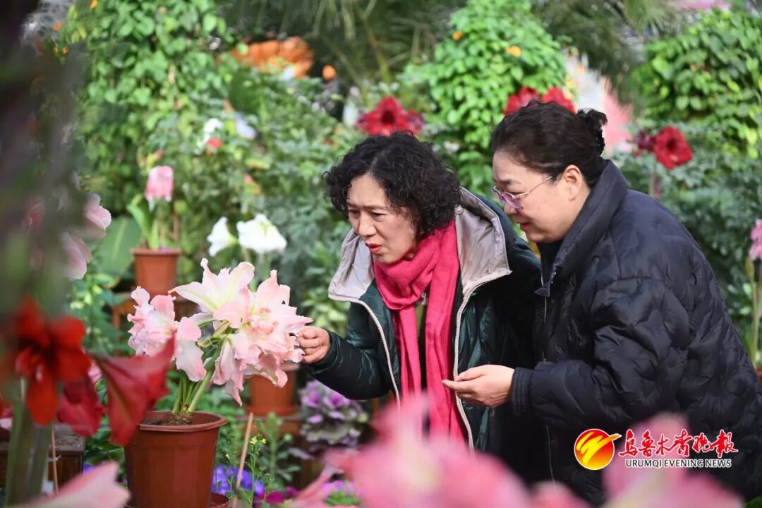 
中国人民解放军总医院黄牛代挂号电话票贩子号贩子网上预约挂号,住院检查加快,过年人潮已刷屏！新疆各地新年活动扎堆 满城都是人人人