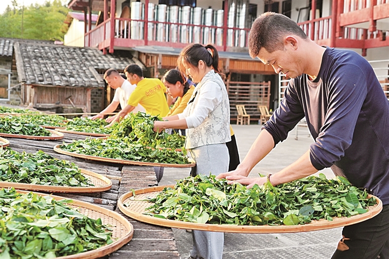 
天津儿童医院黄牛代挂号电话票贩子号贩子网上预约挂号,住院检查加快,走进春天，触摸这跃动的生命图景