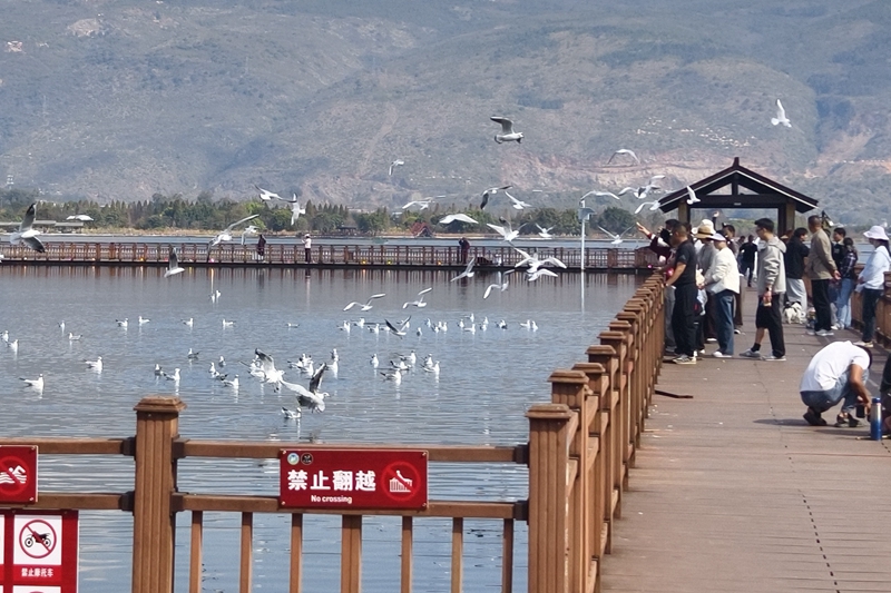 
首都医科大学附属北京妇产医院黄牛代挂号电话票贩子号贩子网上预约挂号,住院检查加快,新春走基层｜山朝水朝，不如人来朝——异龙湖畔感受高原湖泊治污成果