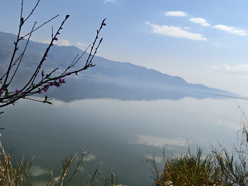 
首都医科大学附属北京妇产医院黄牛代挂号电话票贩子号贩子网上预约挂号,住院检查加快,新春走基层｜山朝水朝，不如人来朝——异龙湖畔感受高原湖泊治污成果