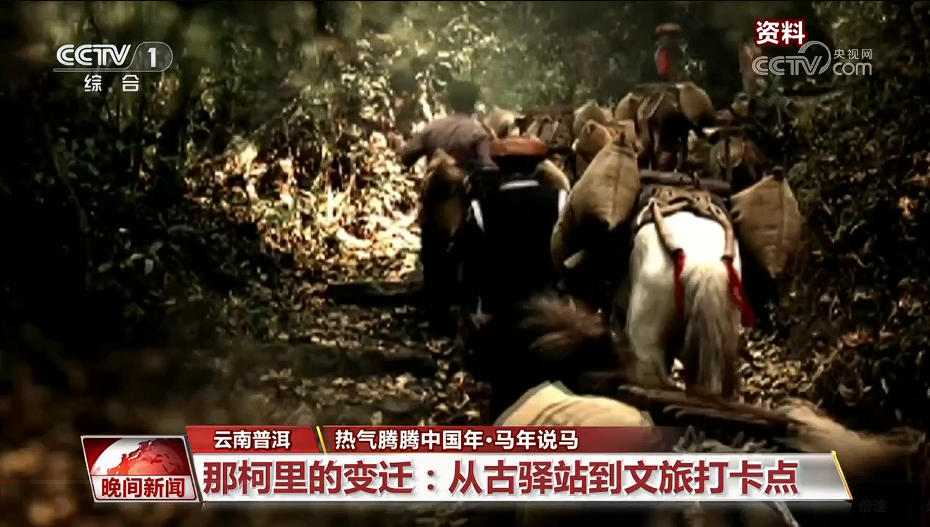 
首都医科大学附属北京胸科医院黄牛代挂号电话票贩子号贩子网上预约挂号,住院检查加快,马年说马｜从马背到铁轨 茶马古道迎新生