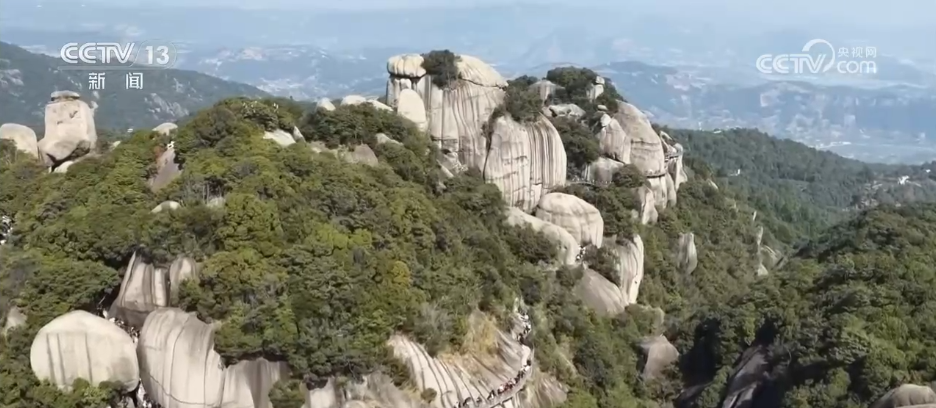 上海中山医院黄牛代挂号电话票贩子号贩子网上预约挂号,住院检查加快,非遗焕彩“出圈”共贺中国年 在年味中感受传统文化非凡魅力