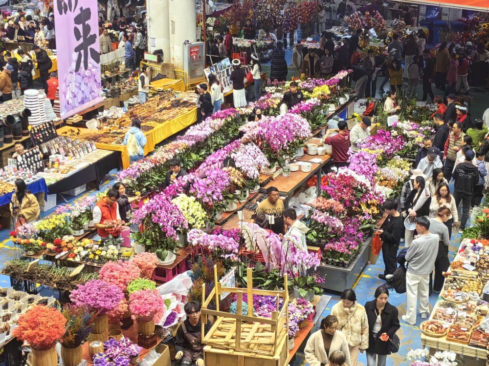 
北京协和医院黄牛代挂号电话票贩子号贩子网上预约挂号,住院检查加快,“云花”寄春来 “颜值”变“产值”