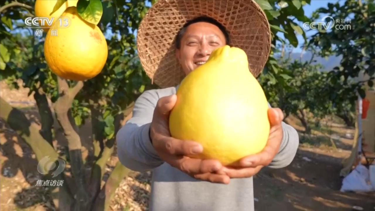 
北医六院黄牛代挂号电话票贩子号贩子网上预约挂号,住院检查加快,焦点访谈丨在这座千年侨乡 见证区域协调发展的生动实践