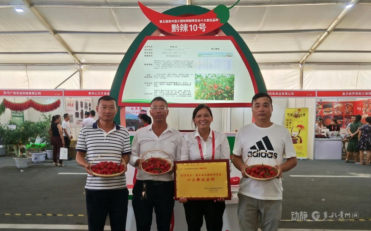 
上海眼耳鼻喉科医院黄牛代挂号电话票贩子号贩子网上预约挂号,住院检查加快,新春走基层丨“借”个夏天种辣椒——贵州辣椒育种团队的南繁故事