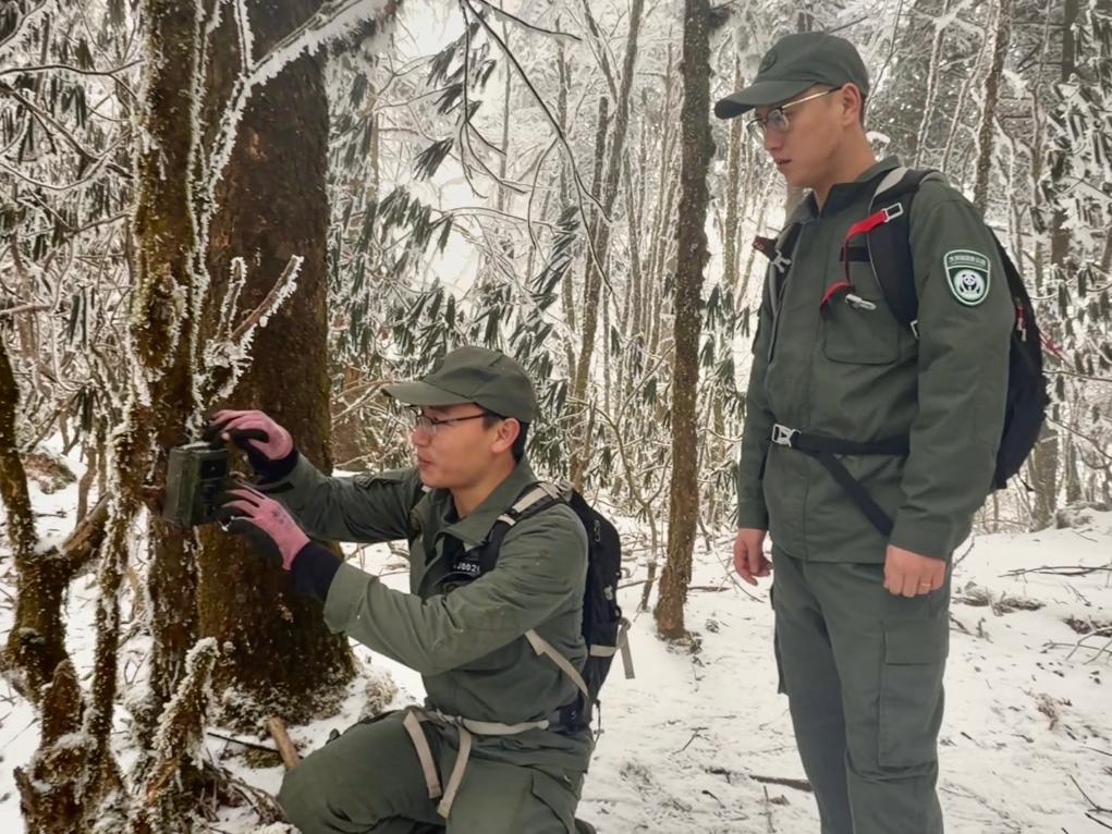 
北医三院黄牛代挂号电话票贩子号贩子网上预约挂号,住院检查加快,新春走基层·记者体验360行|我当野生动物监测员