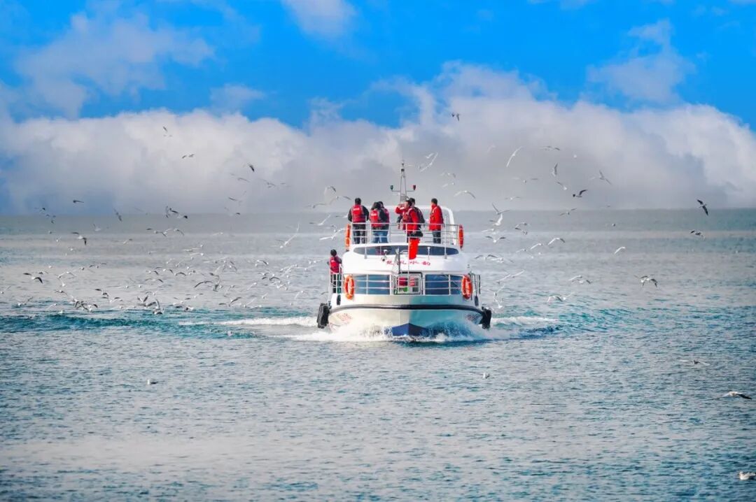 
杭州市儿童医院黄牛代挂号电话票贩子号贩子网上预约挂号,住院检查加快,一群红嘴鸥的南水之约丨新春走基层